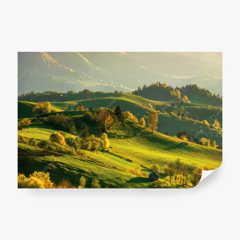 Wall mural serene sunlit mountain meadows