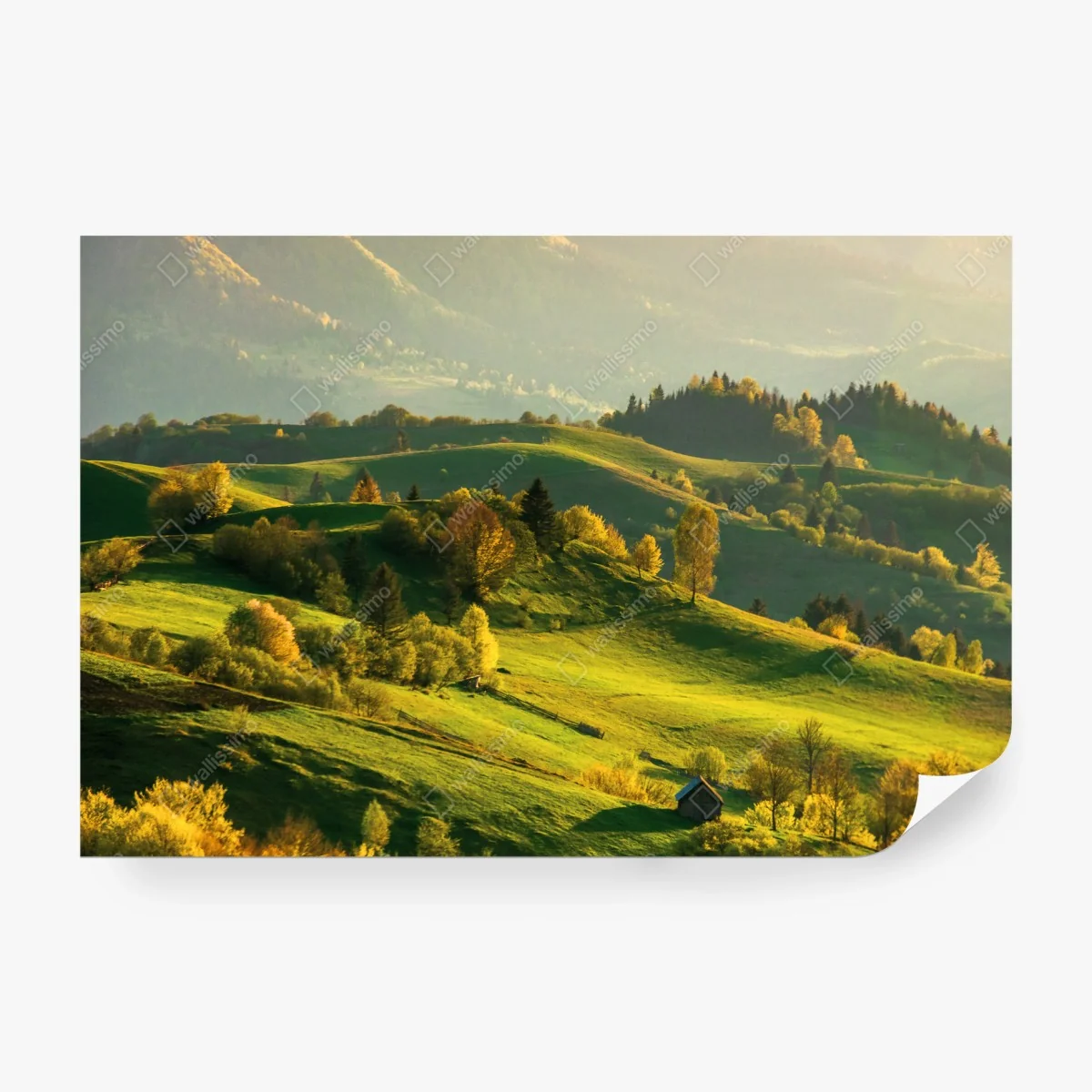 Wall mural serene sunlit mountain meadows • Wallissimo® Wall mural serene sunlit mountain meadows • Wallissimo®