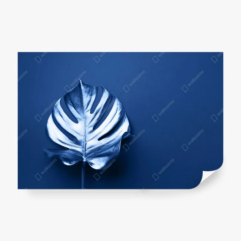 Wall mural blue monstera leaf minimal art