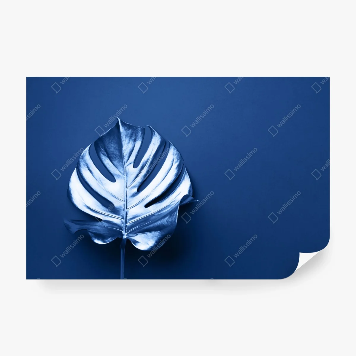 Wall mural blue monstera leaf minimal art • Wallissimo® Wall mural blue monstera leaf minimal art • Wallissimo®
