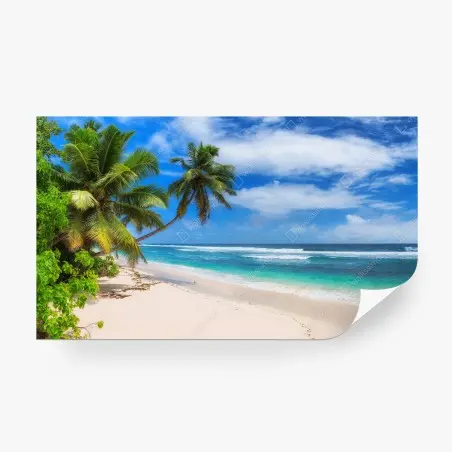 Wall mural tropical palm beach paradise • Wallissimo®