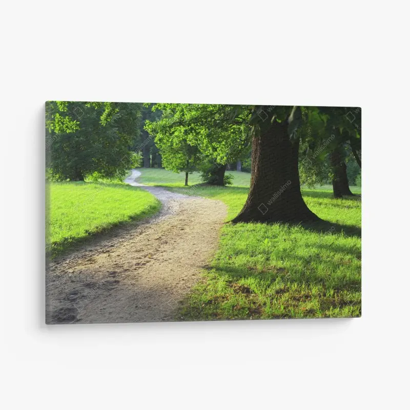 Canvas print sunlit park path through green meadow