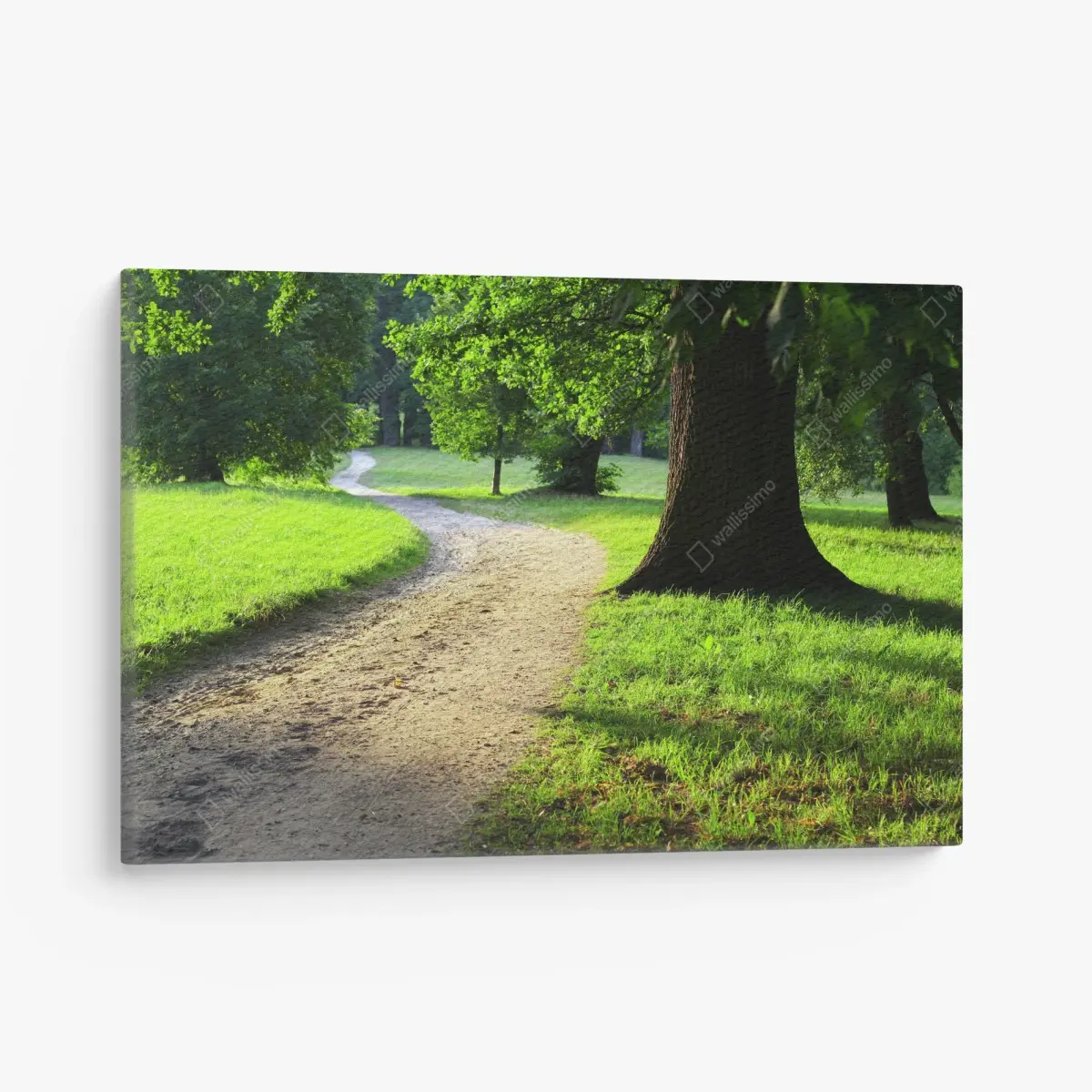 Canvas print sunlit park path through green meadow • Wallissimo®