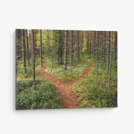 Canvas print serene forest fork: pine trail • Wallissimo®