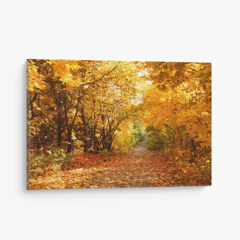 Canvas print golden autumn pathway through the trees