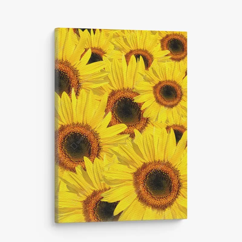 Canvas print vibrant sunflower bloom collage