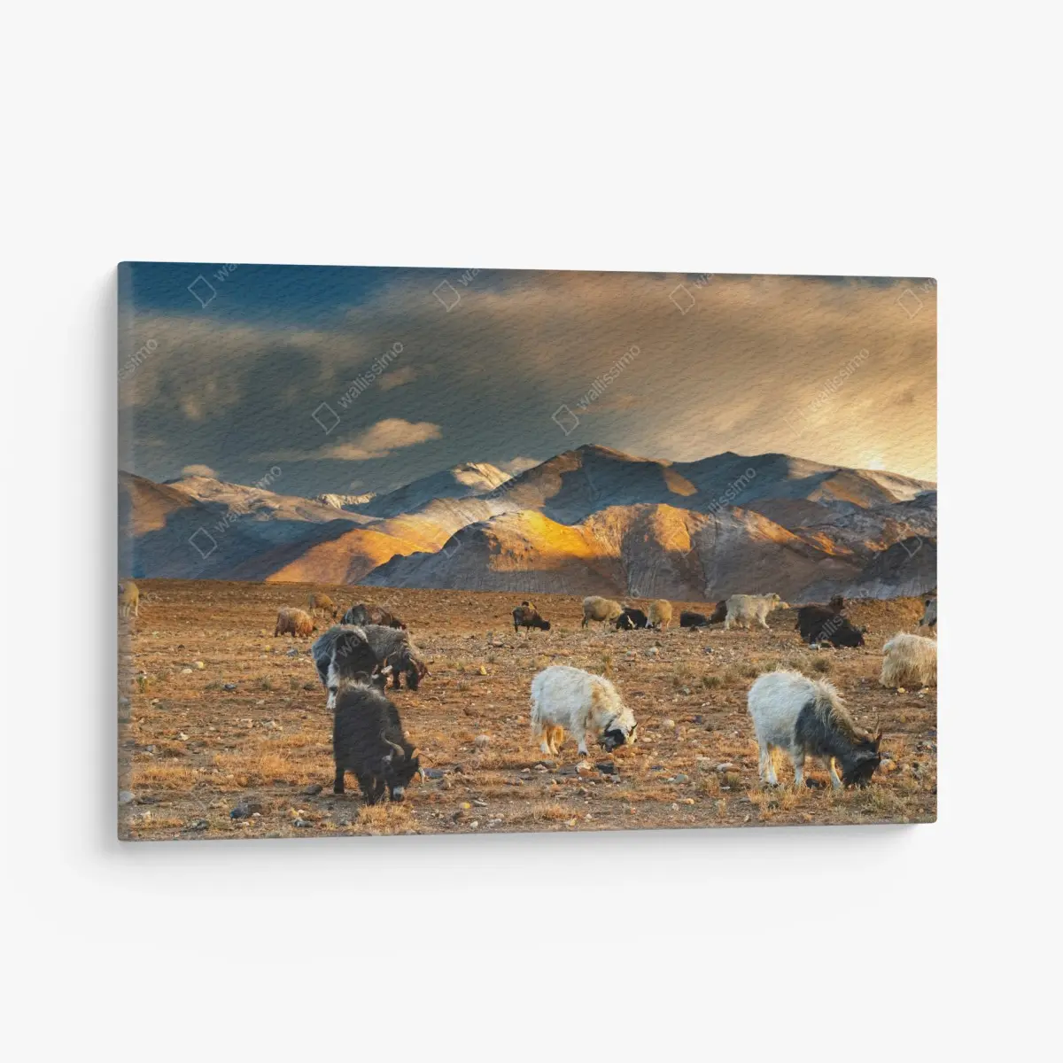 Canvas print Tibetan highlands at sunset • Wallissimo®