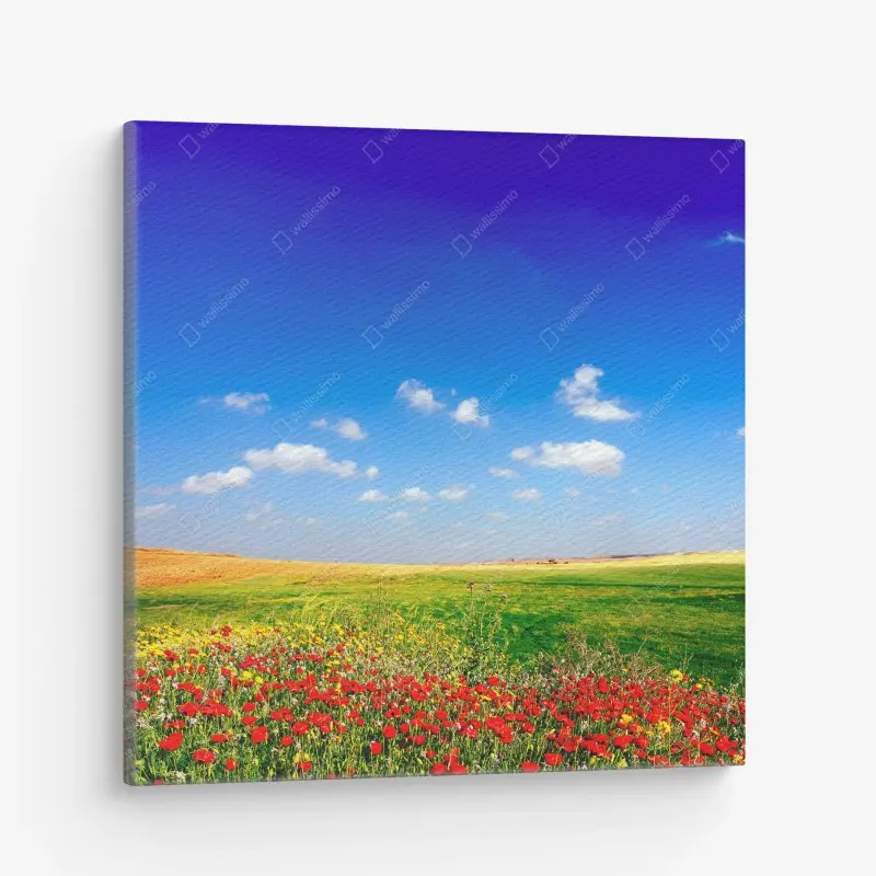 Canvas print vibrant poppy meadow under blue sky