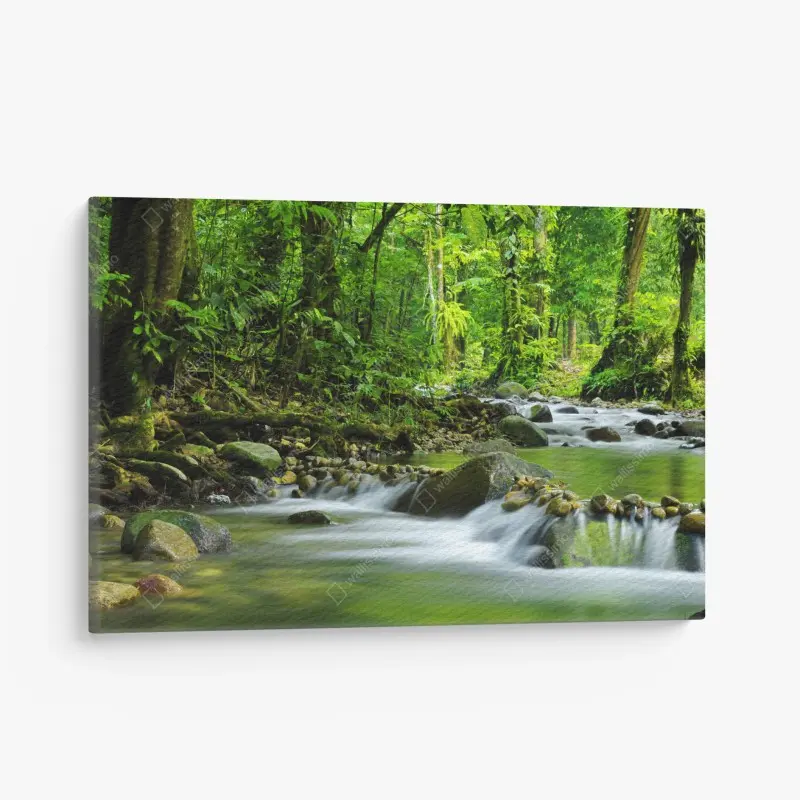 Canvas print serene forest stream