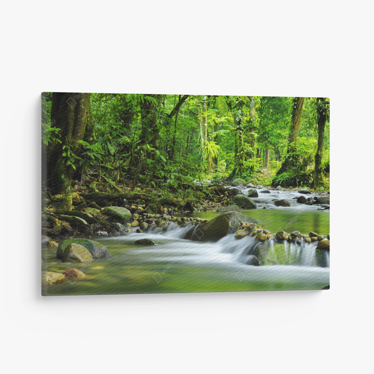 Canvas print serene forest stream • Wallissimo®