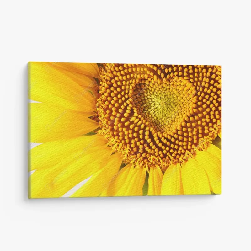 Canvas print sunflower with heart-shaped center