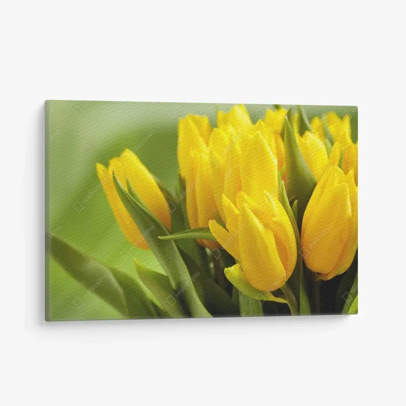 Canvas print vibrant yellow tulip bouquet