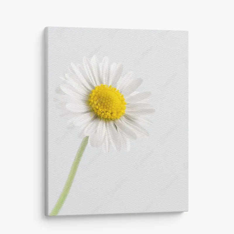 Canvas print white daisy close-up on soft background