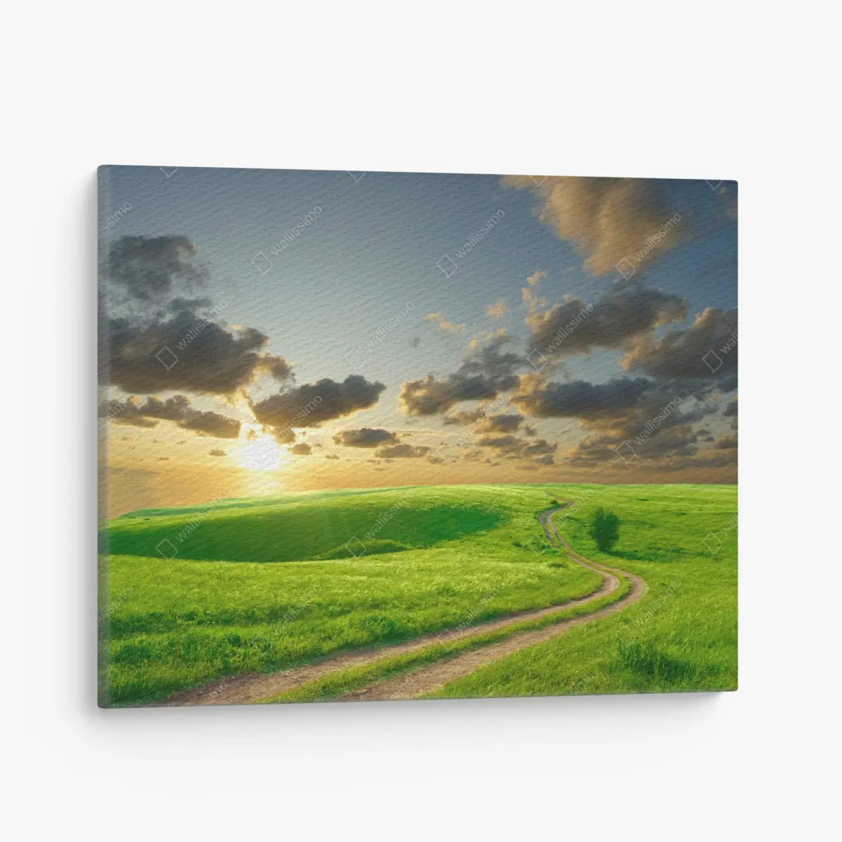 Canvas print sunset over winding green meadow • Wallissimo®