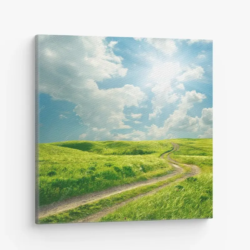 Canvas print sunlit country path through green meadow