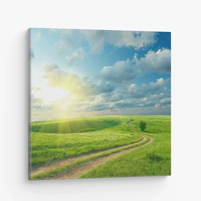 Canvas print sunlit summer meadow with winding road