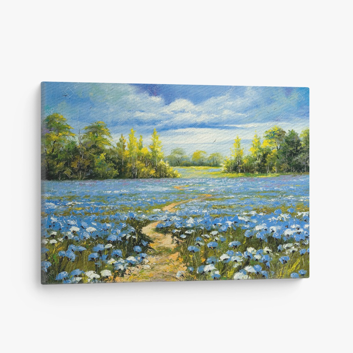 Canvas print path through a blue cornflower meadow • Wallissimo®