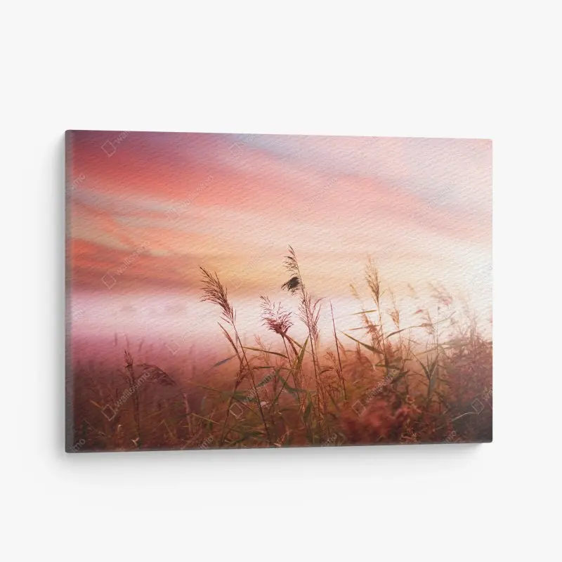 Canvas print misty meadow at sunrise