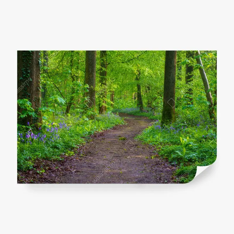 Wall mural FOREST PATH TREES GREEN BLUE FOR LIVING ROOM