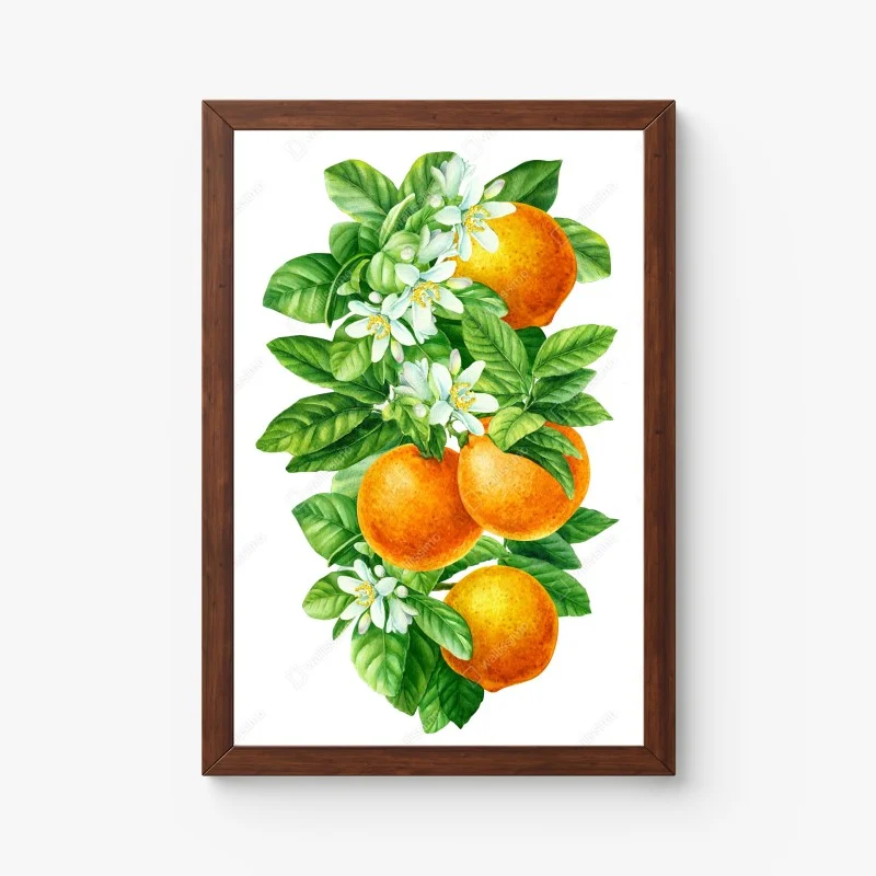 Poster citrus blossoms and ripe oranges • Wallissimo®