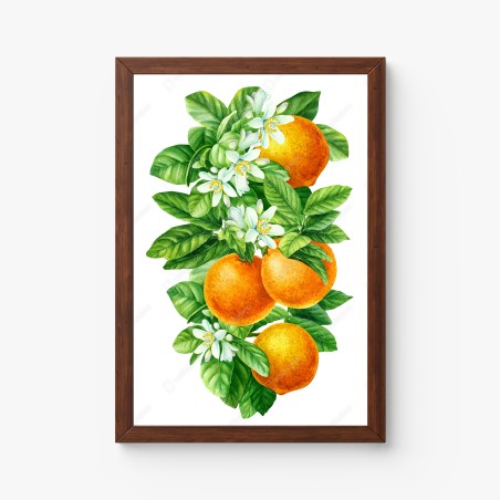 Poster citrus blossoms and ripe oranges • Wallissimo®