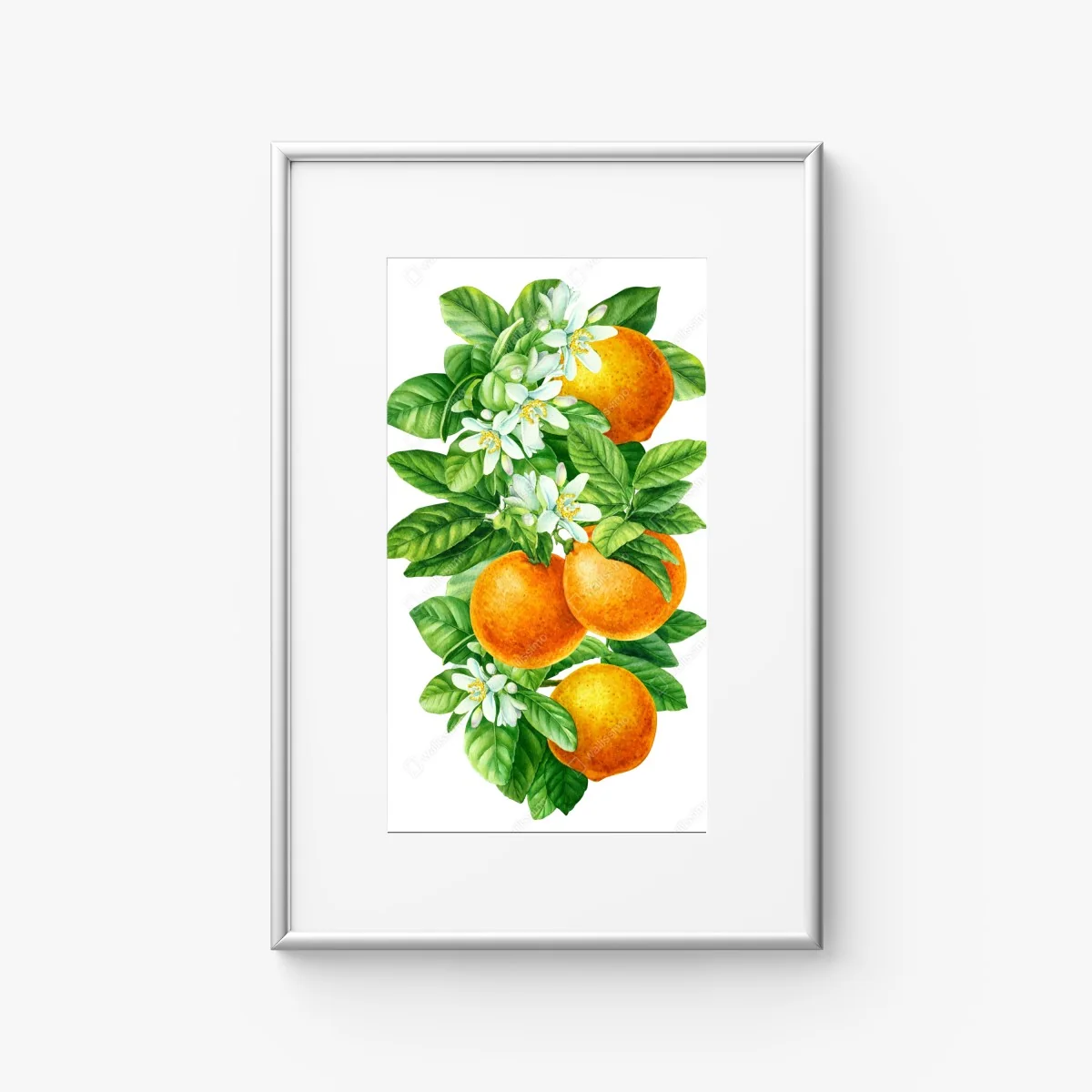 Poster citrus blossoms and ripe oranges • Wallissimo® Poster citrus blossoms and ripe oranges • Wallissimo®