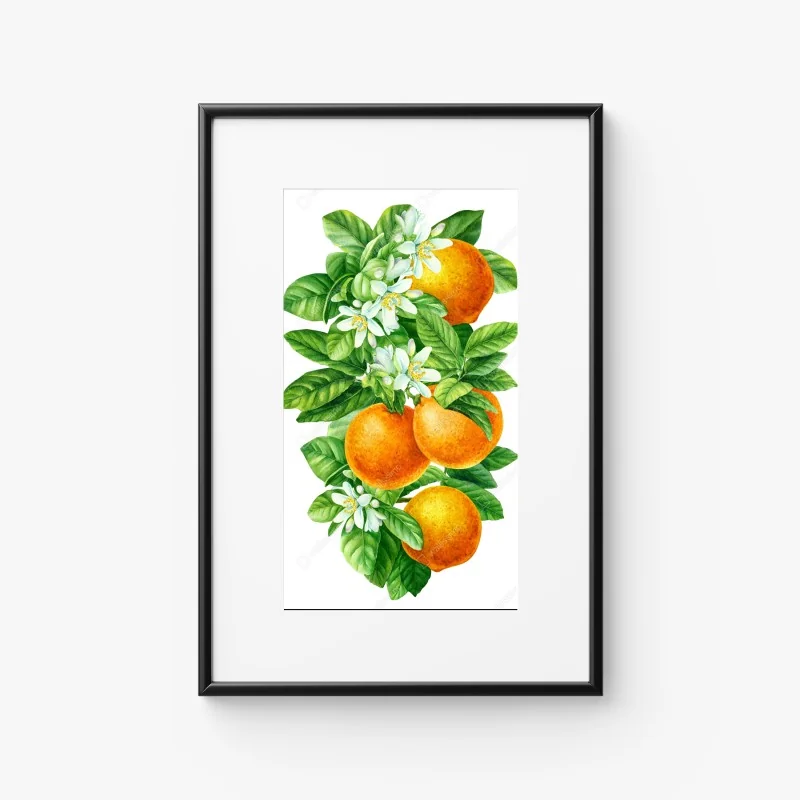 Poster citrus blossoms and ripe oranges • Wallissimo®
