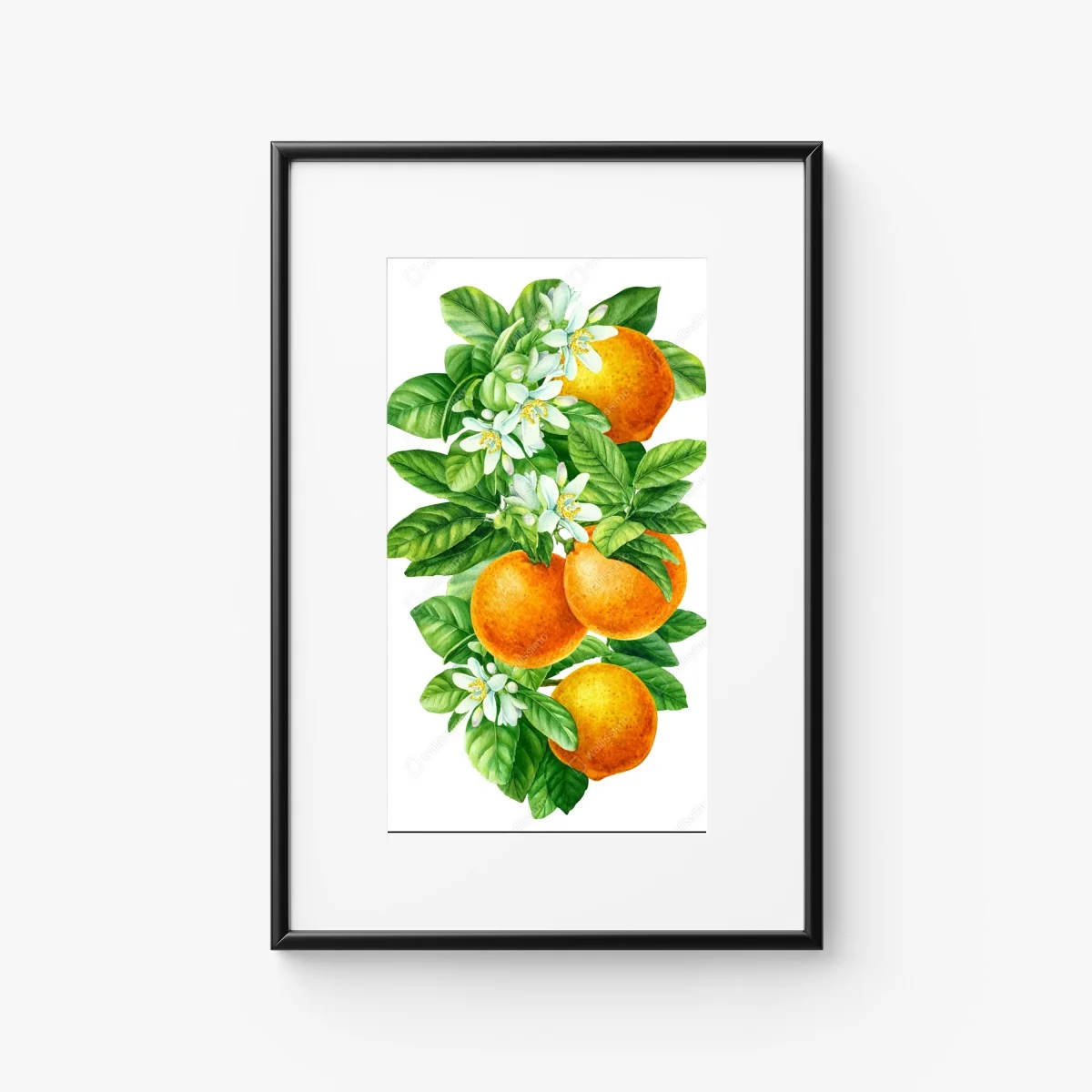 Poster citrus blossoms and ripe oranges • Wallissimo® Poster citrus blossoms and ripe oranges • Wallissimo®