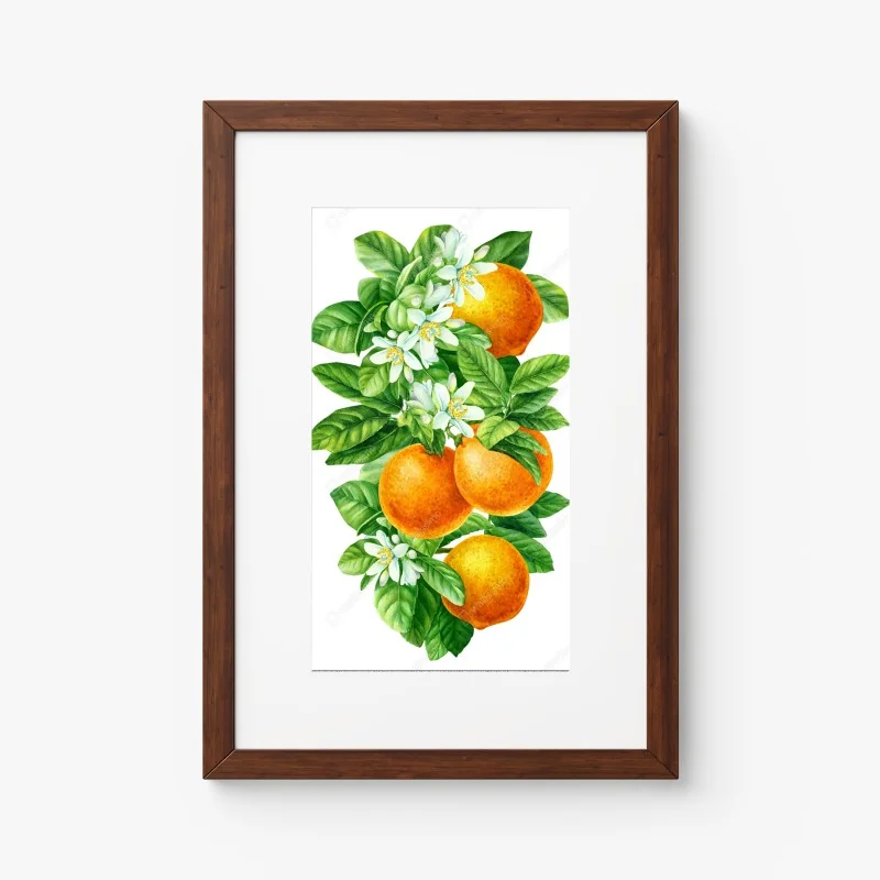 Poster citrus blossoms and ripe oranges • Wallissimo®