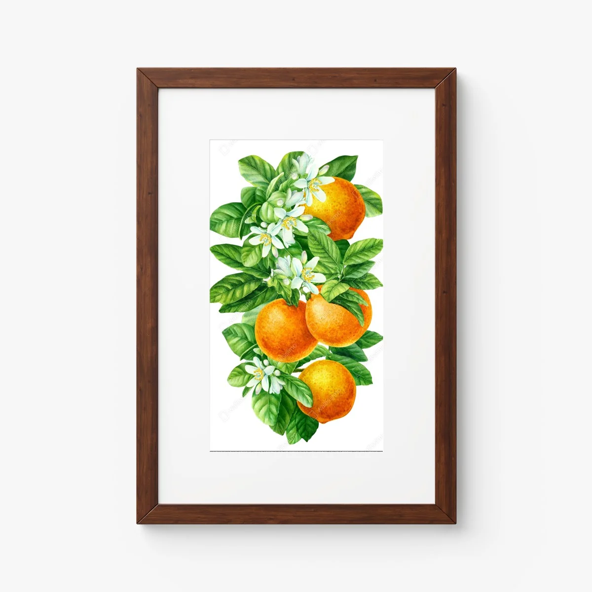 Poster citrus blossoms and ripe oranges • Wallissimo® Poster citrus blossoms and ripe oranges • Wallissimo®