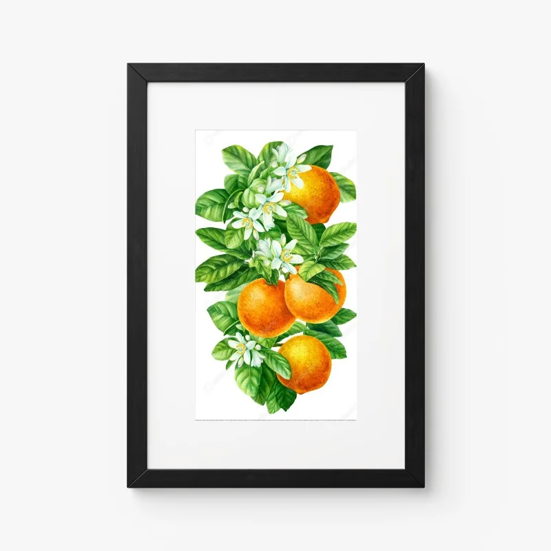 Poster citrus blossoms and ripe oranges • Wallissimo®