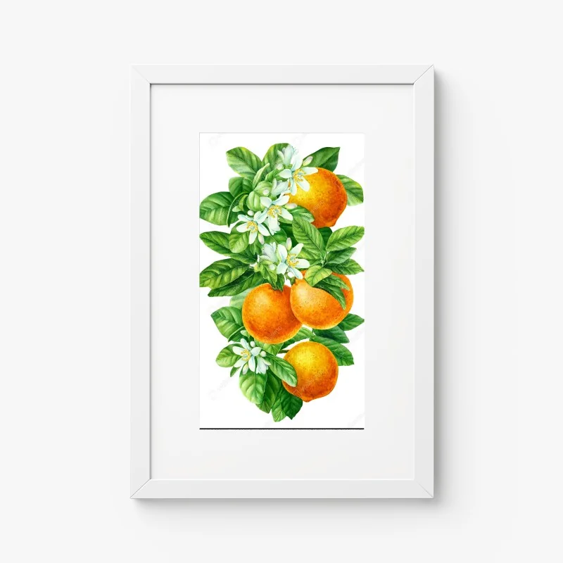 Poster citrus blossoms and ripe oranges • Wallissimo®