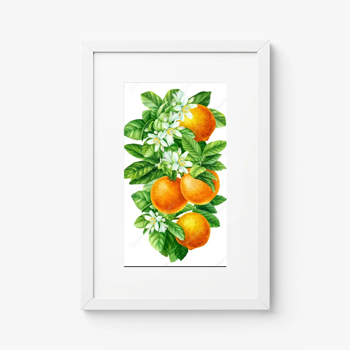 Poster citrus blossoms and ripe oranges • Wallissimo® Poster citrus blossoms and ripe oranges • Wallissimo®