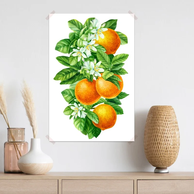 Poster citrus blossoms and ripe oranges • Wallissimo®