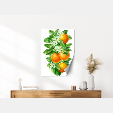 Poster citrus blossoms and ripe oranges • Wallissimo®