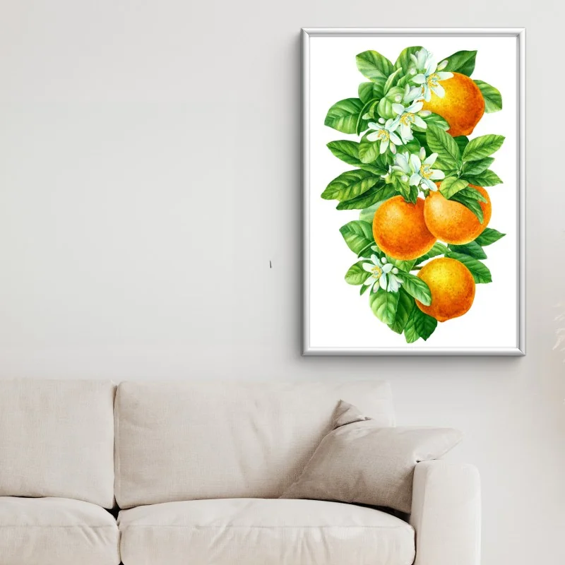 Poster citrus blossoms and ripe oranges • Wallissimo®