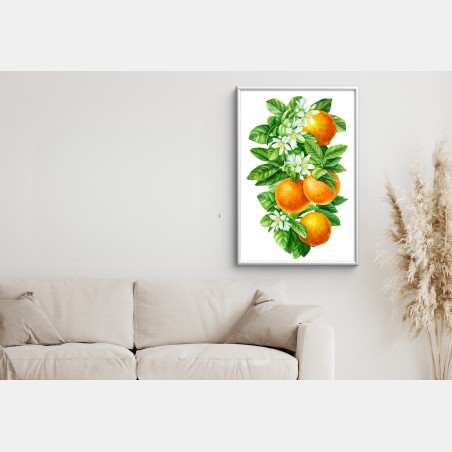 Poster citrus blossoms and ripe oranges • Wallissimo®