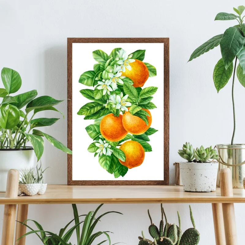 Poster citrus blossoms and ripe oranges • Wallissimo®