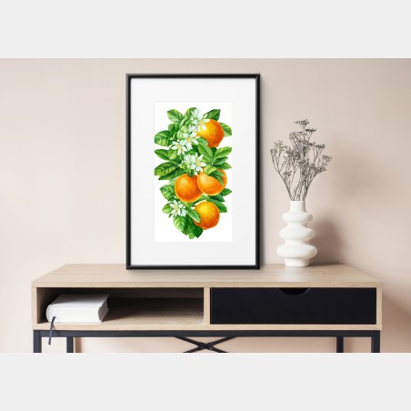 Poster citrus blossoms and ripe oranges • Wallissimo®