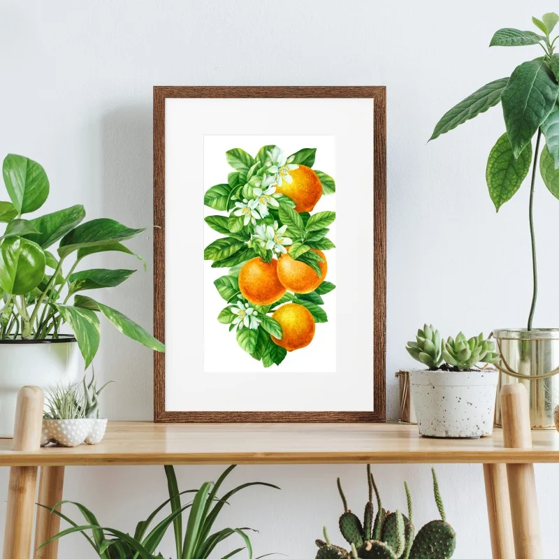 Poster citrus blossoms and ripe oranges • Wallissimo®