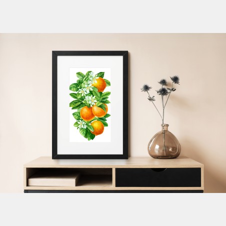 Poster citrus blossoms and ripe oranges • Wallissimo®